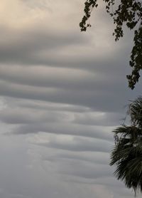 Low angle view of silhouette trees against sky