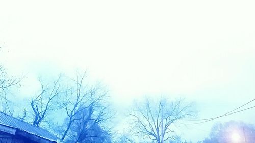 Low angle view of bare trees