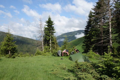 People on land amidst trees in forest against sky