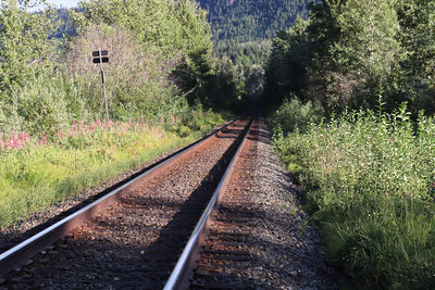 View of railroad tracks on field