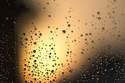 Raindrops on window