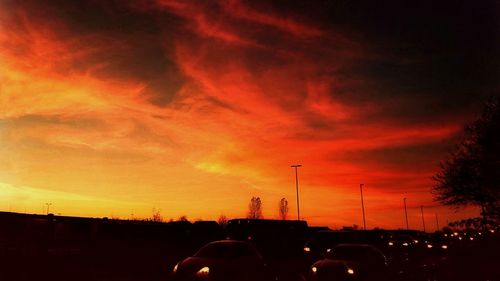 Silhouette trees against sky during sunset