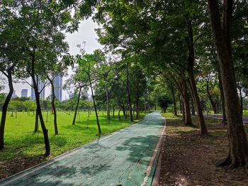 Road amidst trees on field