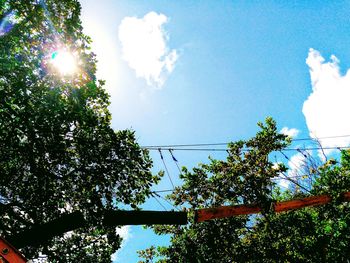 Low angle view of trees against sky
