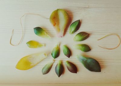 Directly above shot of succulent plant leaves on wooden table