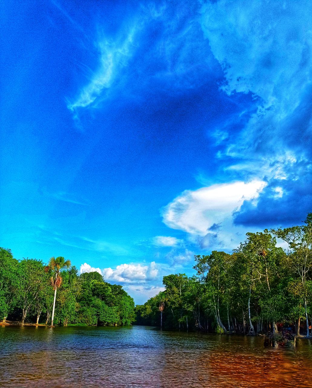 SCENIC VIEW OF RIVER BY TREES AGAINST BLUE SKY