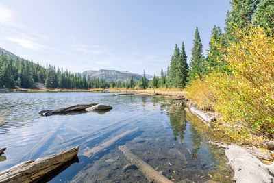 Scenic view of lake in forest against sky