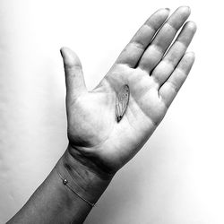 Cropped image of hand holding over white background