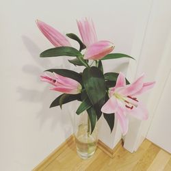 Close-up of pink flowers in vase