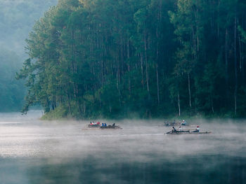 Scenic view of lake in forest