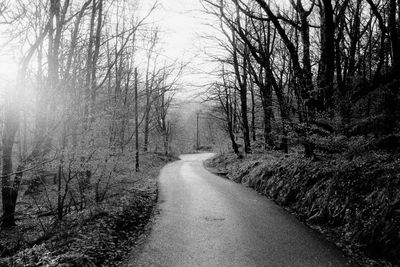 Road amidst trees in forest