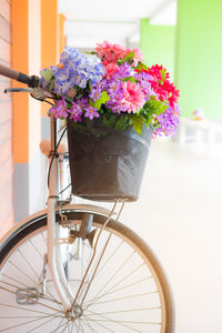 Close-up of purple flowers in basket