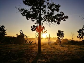 Silhouette trees on landscape against sky at sunset