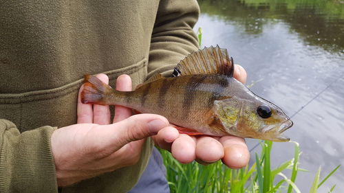 Midsection of man holding fish in lake