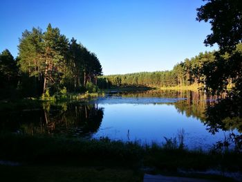 Scenic view of lake in forest against clear sky