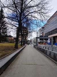Road amidst bare trees and buildings against sky