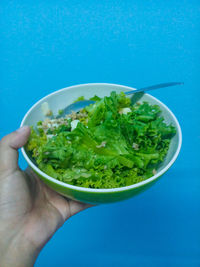 Cropped image of hand holding bowl of blue against green background