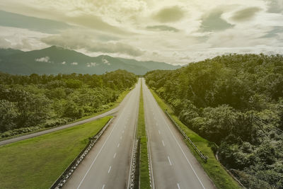 Road amidst plants against sky