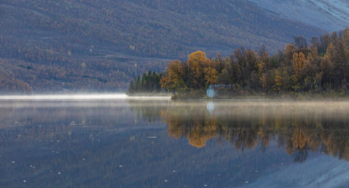 Scenic view of lake in forest during autumn