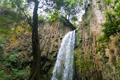 View of waterfall in forest