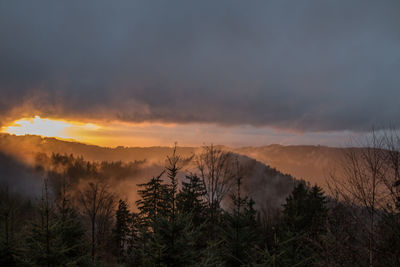 Silhouette trees against smoke emitting from mountains