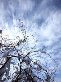 Low angle view of bare tree against cloudy sky