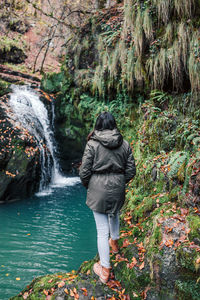 Rear view of waterfall in forest