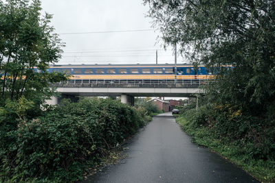 Road amidst trees in city against sky