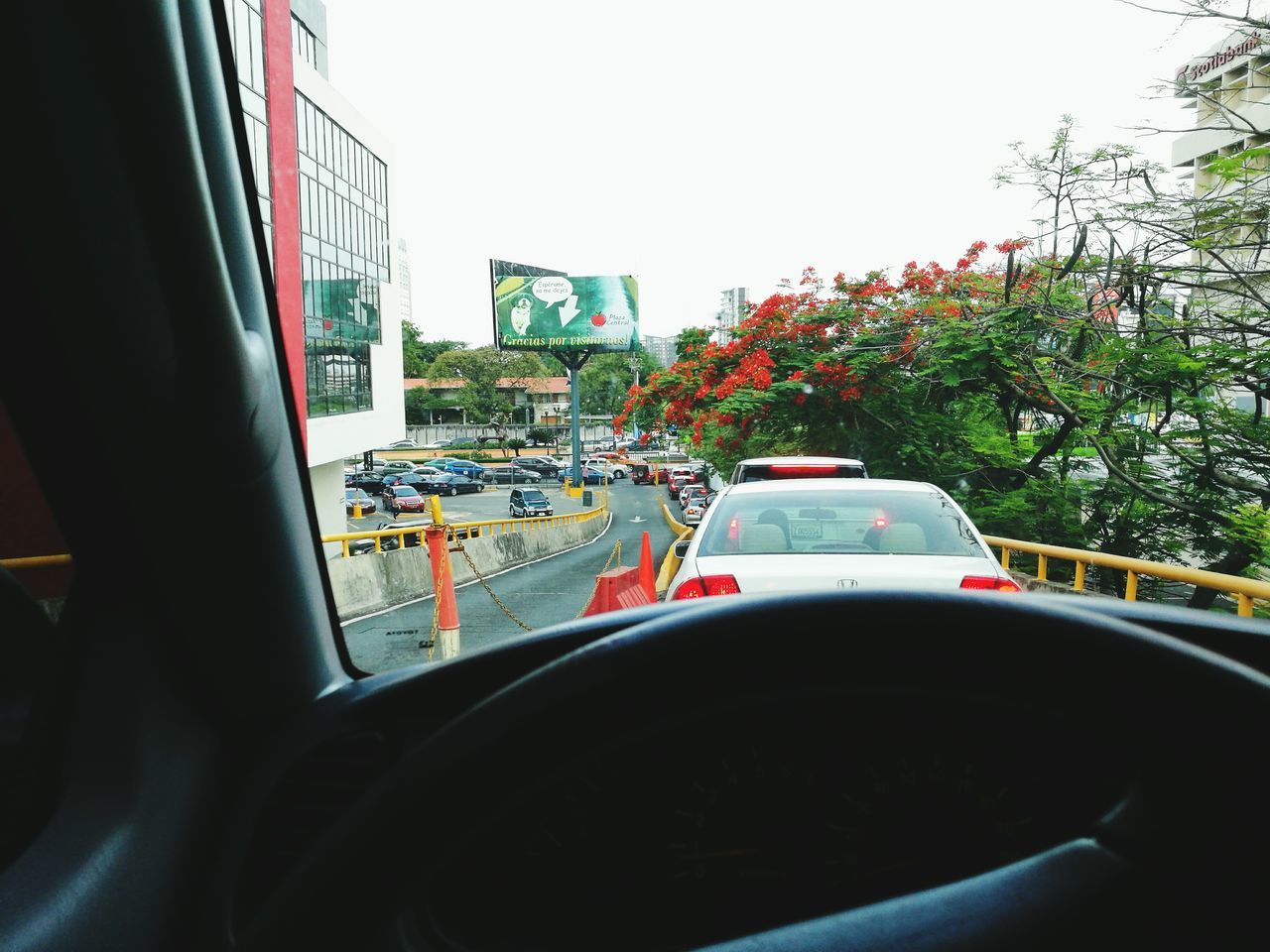 car, land vehicle, transportation, mode of transport, tree, day, car interior, road, no people, outdoors, city, close-up, sky