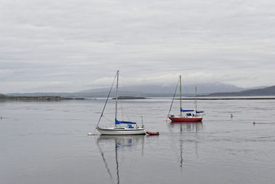 Sailboats in sea against sky