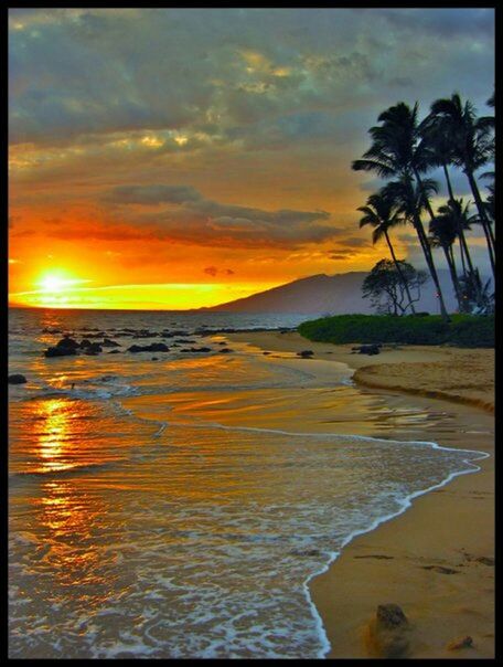 sunset, water, sea, horizon over water, sky, scenics, tranquil scene, beauty in nature, transfer print, palm tree, orange color, tranquility, beach, auto post production filter, idyllic, nature, cloud - sky, sun, reflection, shore