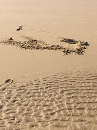 High angle view of footprints on sand at beach