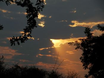 Silhouette of trees against cloudy sky