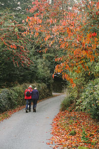 Rear view of people walking on road during autumn