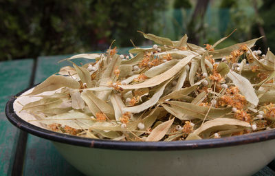 Leaves and blossom of lime from linden tree used as a herbal remedy, domestic medicine concept