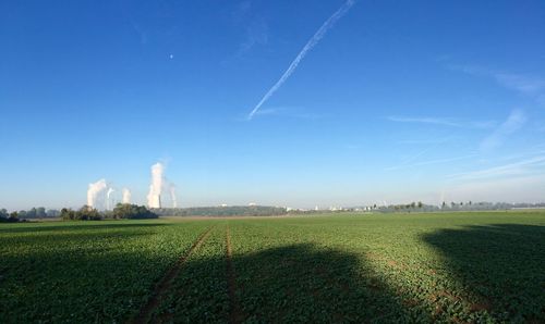 Scenic view of field against blue sky