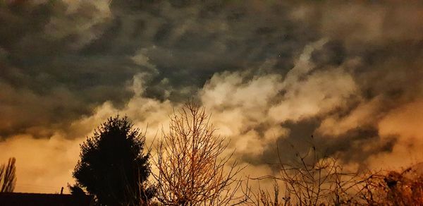 Low angle view of silhouette trees against sky during sunset