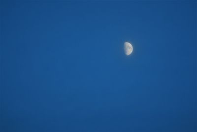 Low angle view of moon against clear blue sky