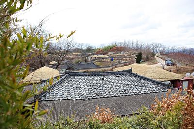 Bare trees and houses on field against sky