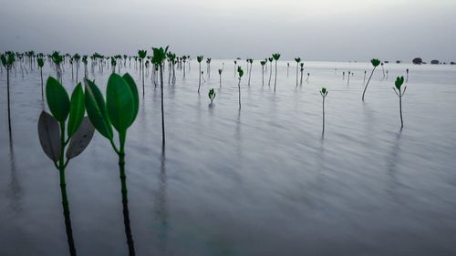 Scenic view of lake against sky
