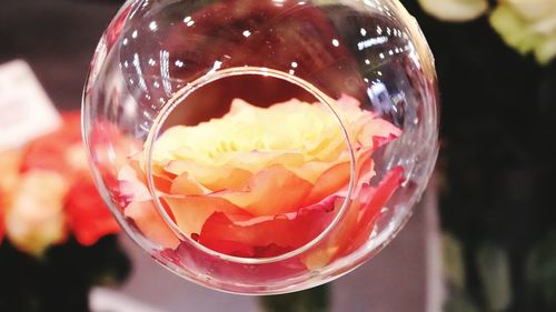 Close-up of drink in glass on table