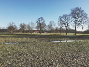 Scenic view of field against clear sky