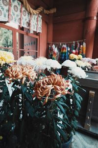 Close-up of flower bouquet