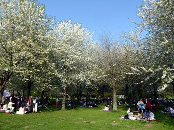 Group of people in park