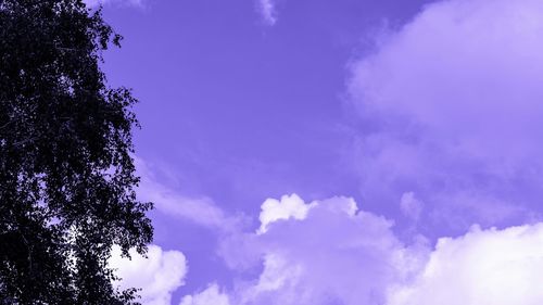 Low angle view of trees against blue sky