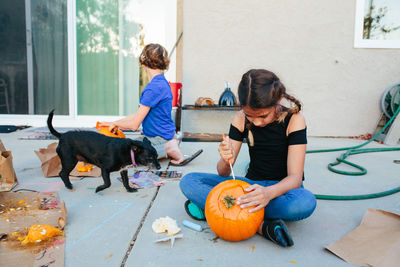 Pet dog runs by while two girls carve their pumpkins
