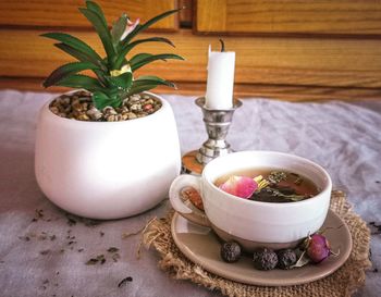 Close-up of potted plant on table