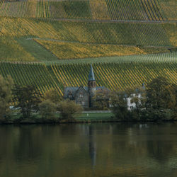 Scenic view of lake