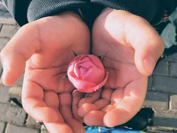 Close-up of hand holding ice cream