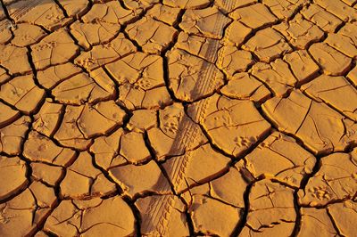 Full frame shot of cracked land